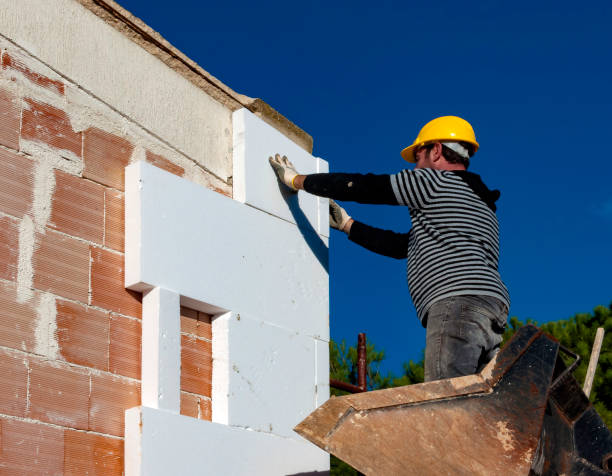 Best Affordable Insulation Services  in North Las Vegas, NV