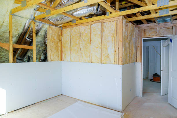 Best Insulation Replacement Services  in North Las Vegas, NV