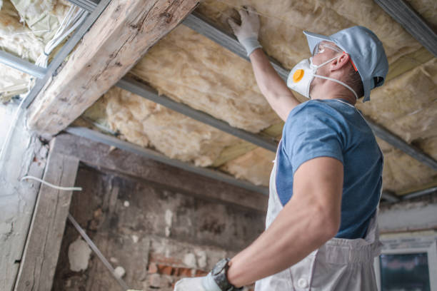 Best Best Insulation Companies  in North Las Vegas, NV