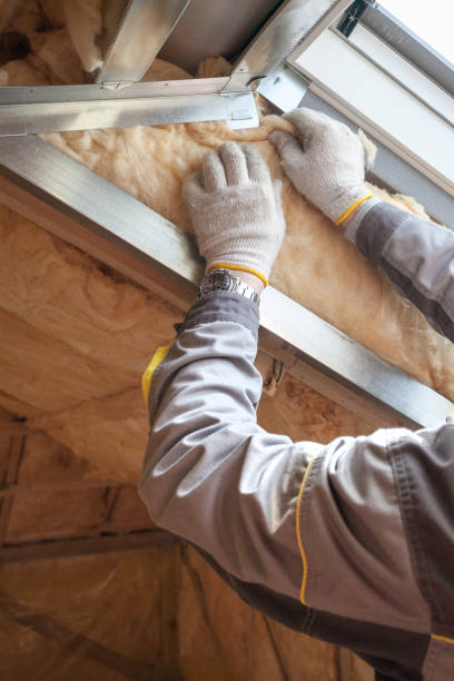 Best Spray Foam Insulation  in North Las Vegas, NV