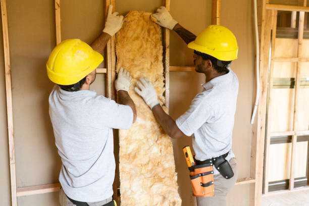 Best Cellulose Insulation  in North Las Vegas, NV