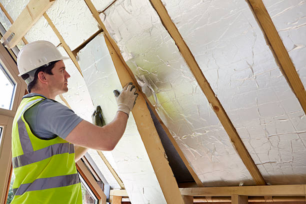 Best Garage Insulation Installation  in North Las Vegas, NV